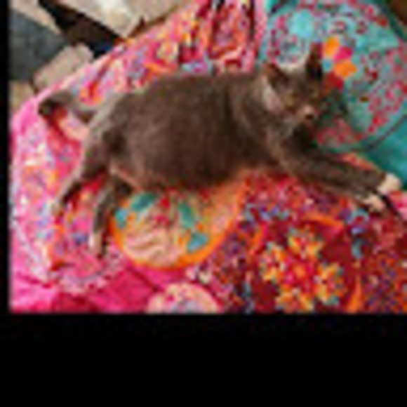 Meet your Posher, Ableism - Picture 1 of 1